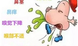 吃瓜鼻炎就犯了,揭秘饮食与健康的关系