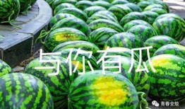 学院吃瓜排行,盘点校园热门话题与风云人物