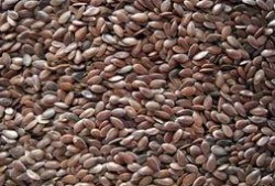 岑岑吃瓜 omega,Omega视角下的娱乐圈风云录