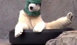 吃瓜图片沙雕,沙雕瞬间笑翻天