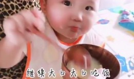 小胖的vlog吃瓜,揭秘娱乐圈吃瓜大作战