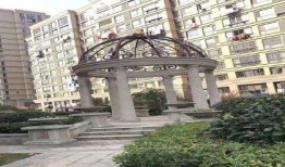 中山首府吃瓜事件,一场网络舆论的风暴与反思