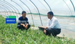 沭阳最新吃瓜事件,揭秘背后惊人真相