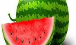 吃瓜吃花籽会胖吗,真的会让人发胖吗？揭秘真相