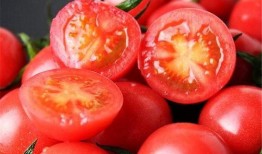 贵妃吃瓜番茄小说