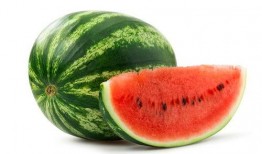 吃瓜协会主页图片,主页图片背后的趣味故事