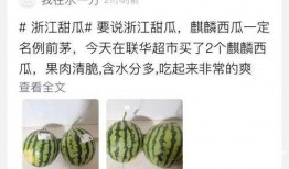 吃瓜网瓜报,揭秘娱乐圈最新热点事件