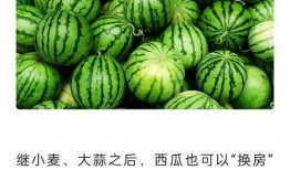 吃瓜免费最新,带你领略免费吃瓜的全新体验