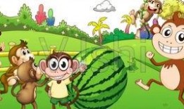 猴子吃瓜动画,一场欢乐的夏日食瓜盛宴