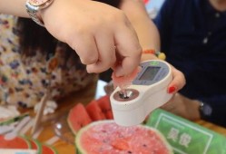 浦东干部直播吃瓜