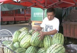 吃瓜神探价格,探寻美食背后的故事