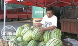 吃瓜神探价格,探寻美食背后的故事