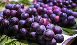 葡萄梨瓜能一起吃吗