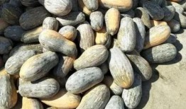 2000年吃瓜,吃瓜群众的狂欢岁月