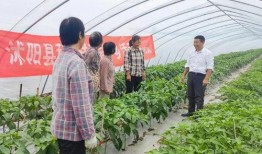 沭阳最新吃瓜事件,揭秘背后惊人真相