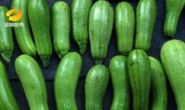 吃瓜家常,揭秘日常生活中的趣味故事与温馨瞬间