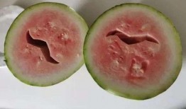 吃瓜小红书,带你领略网络热点的魅力与争议