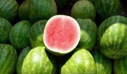 每天吃同学的瓜,揭秘校园里的甜蜜秘密