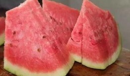 在石250吃瓜,揭秘娱乐圈幕后真相