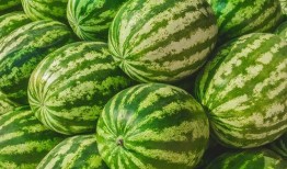 福州网红吃瓜,揭秘城市美食新潮流