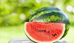 金昌吃瓜,探寻瓜果美食的甜蜜奥秘