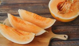 怀孕可以吃蜜瓜干吗,安全与营养并重