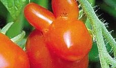 歪瓜吃瓜,揭秘娱乐圈的另类趣味