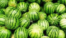 最近的吃瓜感触,揭秘近期热门吃瓜事件背后的真相