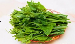 瓜花和瓜尖如何吃最好,解锁最佳食用之道