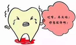 牙疼吃三白瓜,牙疼时的天然止痛良方