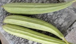 吃瓜可是专业的,专业视角下的娱乐圈风云