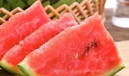 新疆哪里有瓜吃,新疆瓜果飘香之地探秘