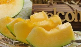 哈密瓜为什么要煮熟吃,探索煮熟后的独特风味与营养价值