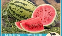 吃硒砂瓜,舌尖上的健康与美味之旅