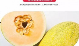 新疆民歌 吃蜜瓜,品鉴“吃蜜瓜”的韵味