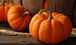 财务助理吃瓜,揭秘职场八卦背后的财务智慧